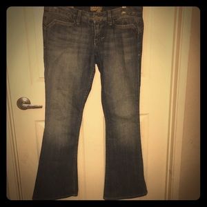 William Rast Savoy Jeans